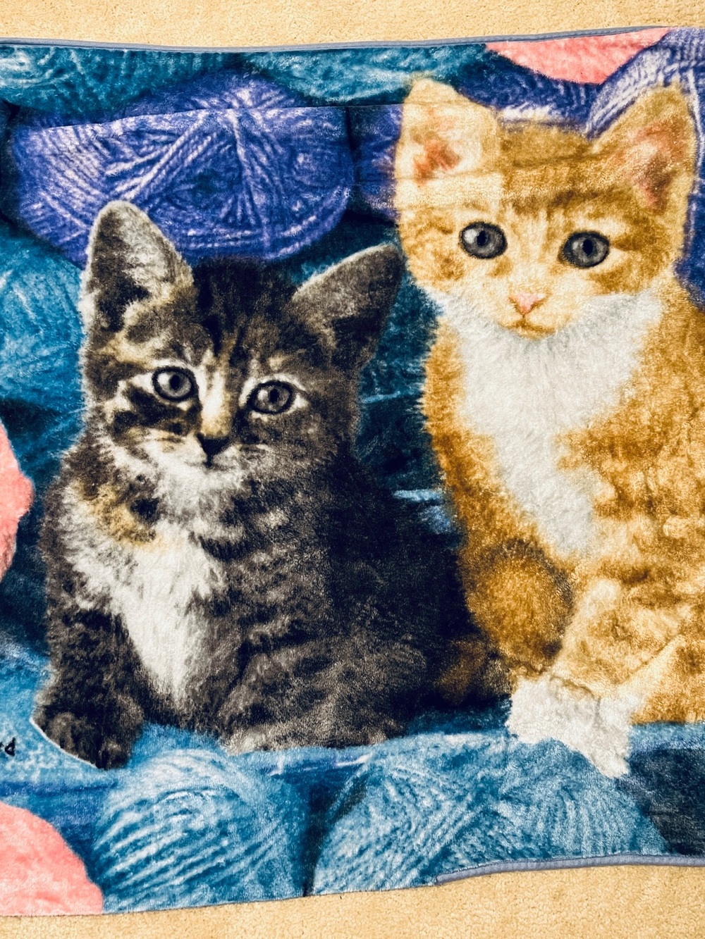 Cuddiford Blanket Throw Two Kittens in Yarn Northwest 40 x 50”